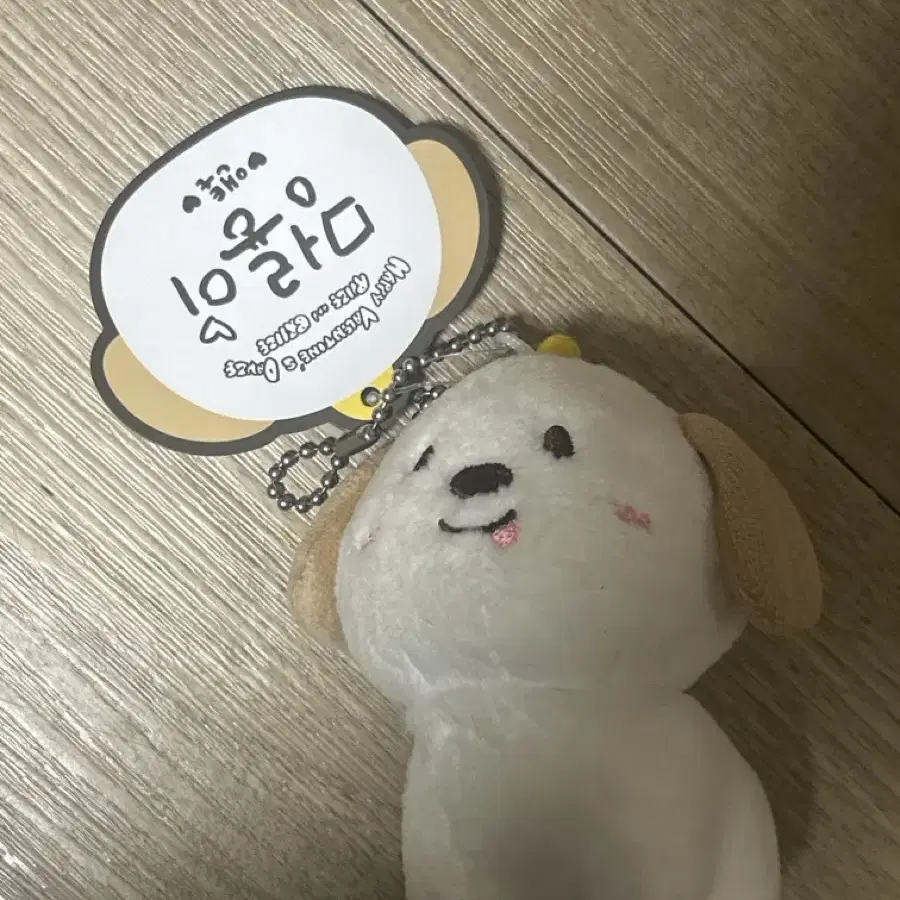 배송비포함) 라이즈 RIIZE 앤톤 명룡이 10cm 인형