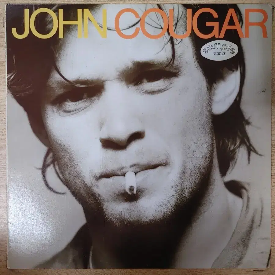 JOHN COUGAR 음반 (LP 턴테이블 오디오 앰프