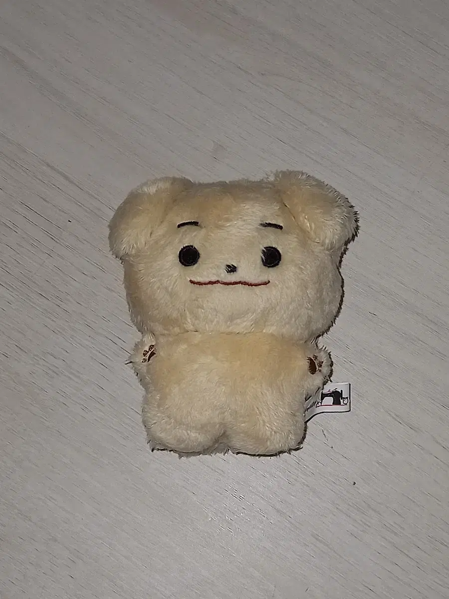 enhypen jake aussie doll wts