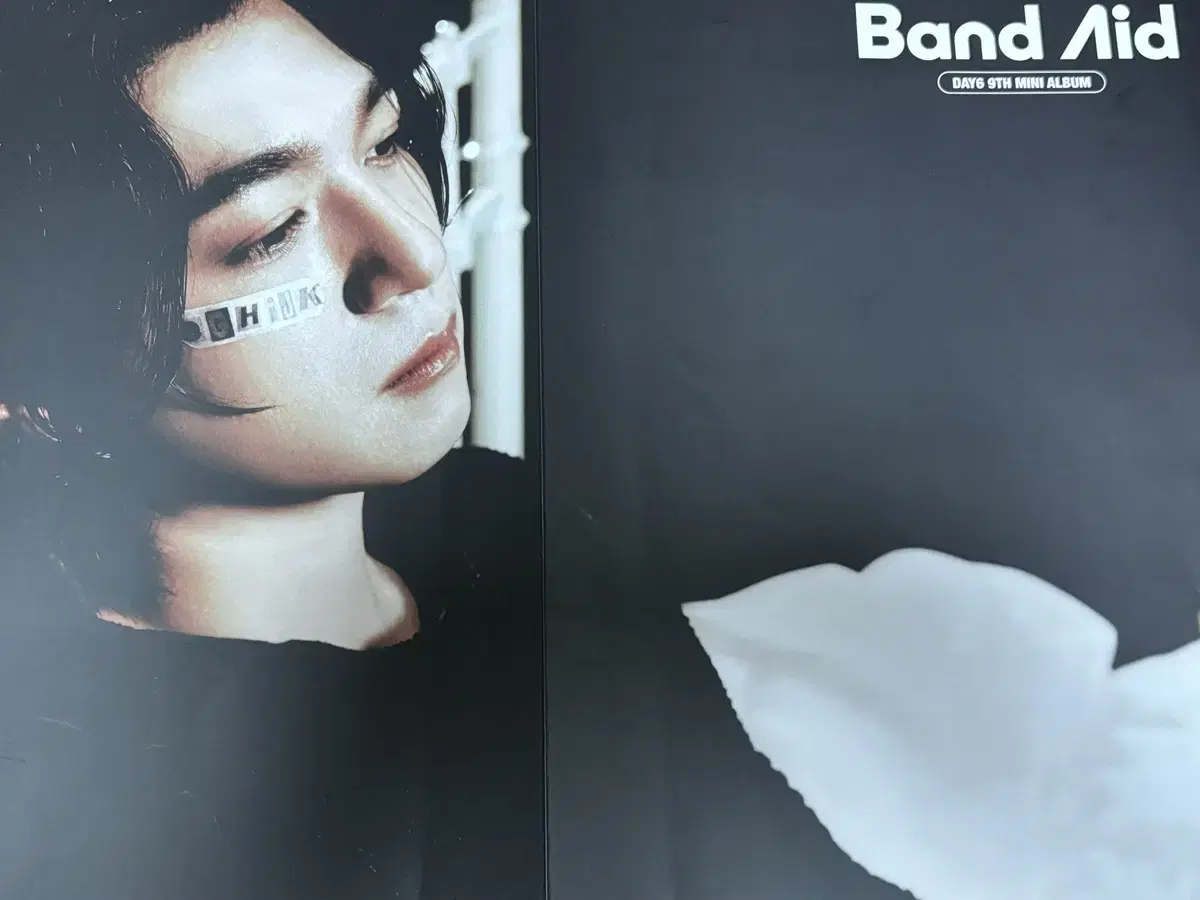 Day 6 Sungjin Bandaid Limited Time Only Poster