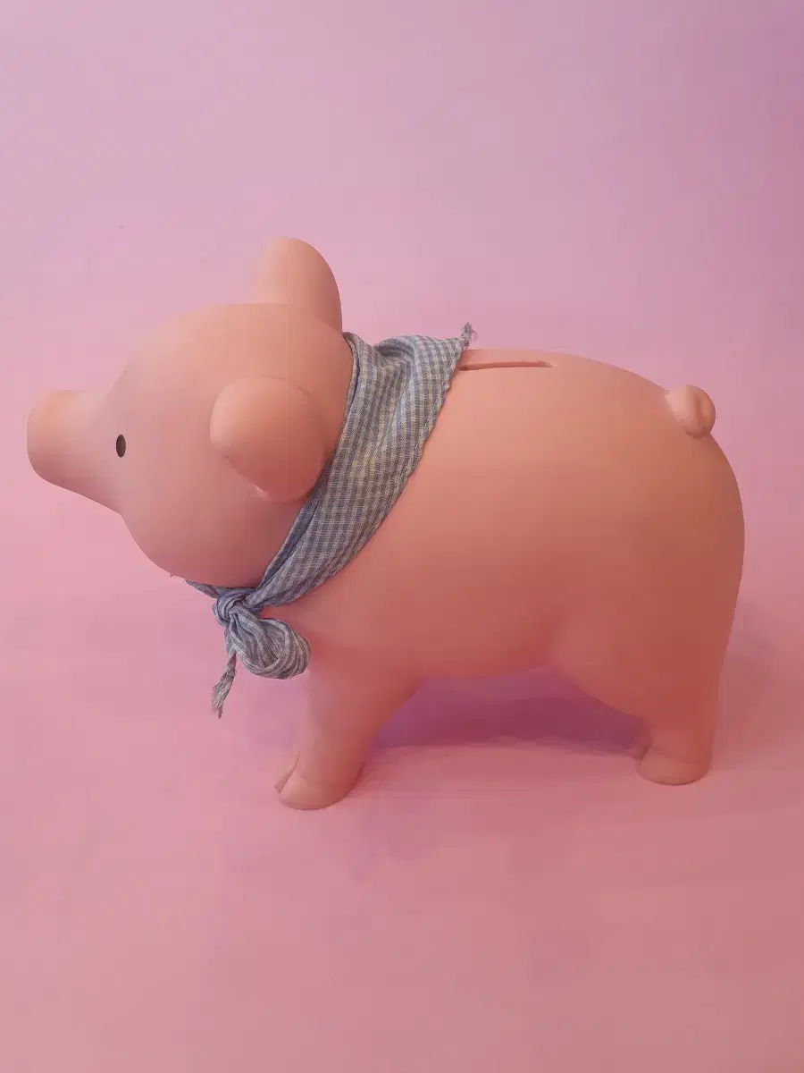 ScarfPiggy Bank