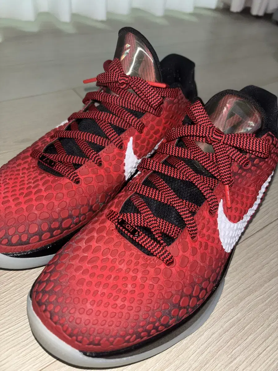 Kobe6 코비6