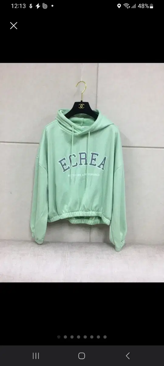 (Unused) ECREA ECREA Mint-colored Brushed Hoodie