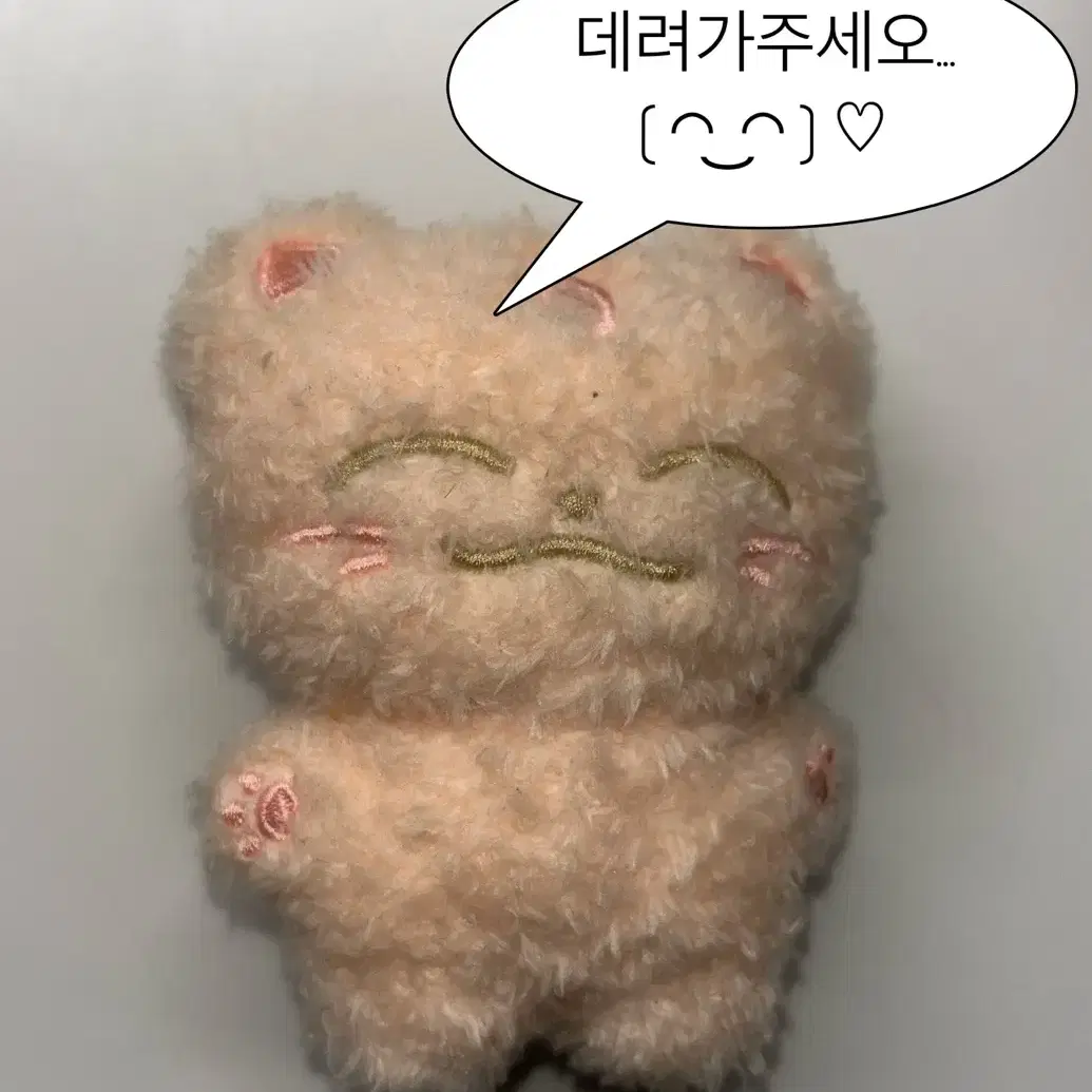 천러 10cm 인형 모모토우러 양도합니다!