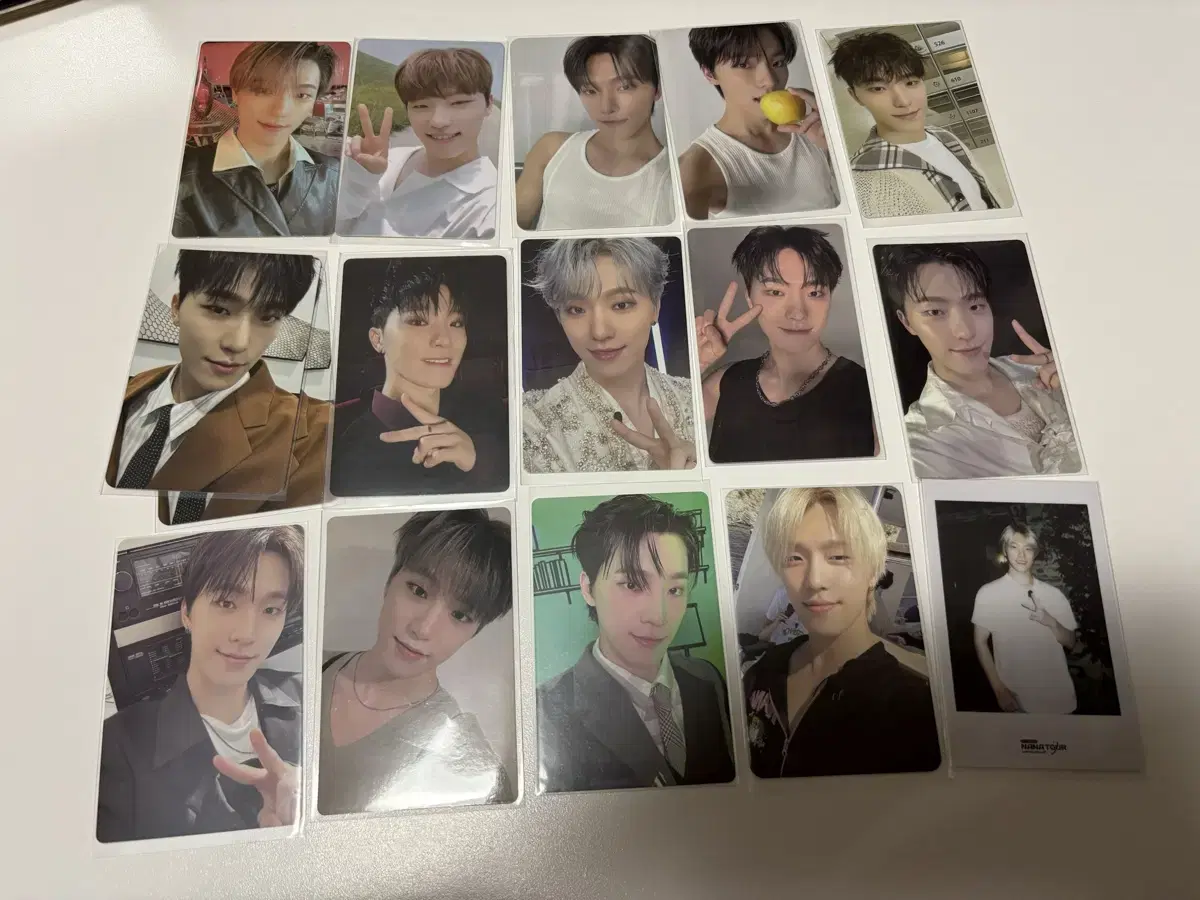 Seventeen dino photocard bulk WTS