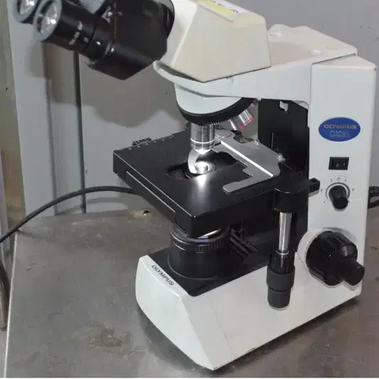 생물현미경 Olympus CX31 Microscope #2