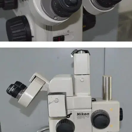 실체현미경 Nikon SMZ-U Microscope