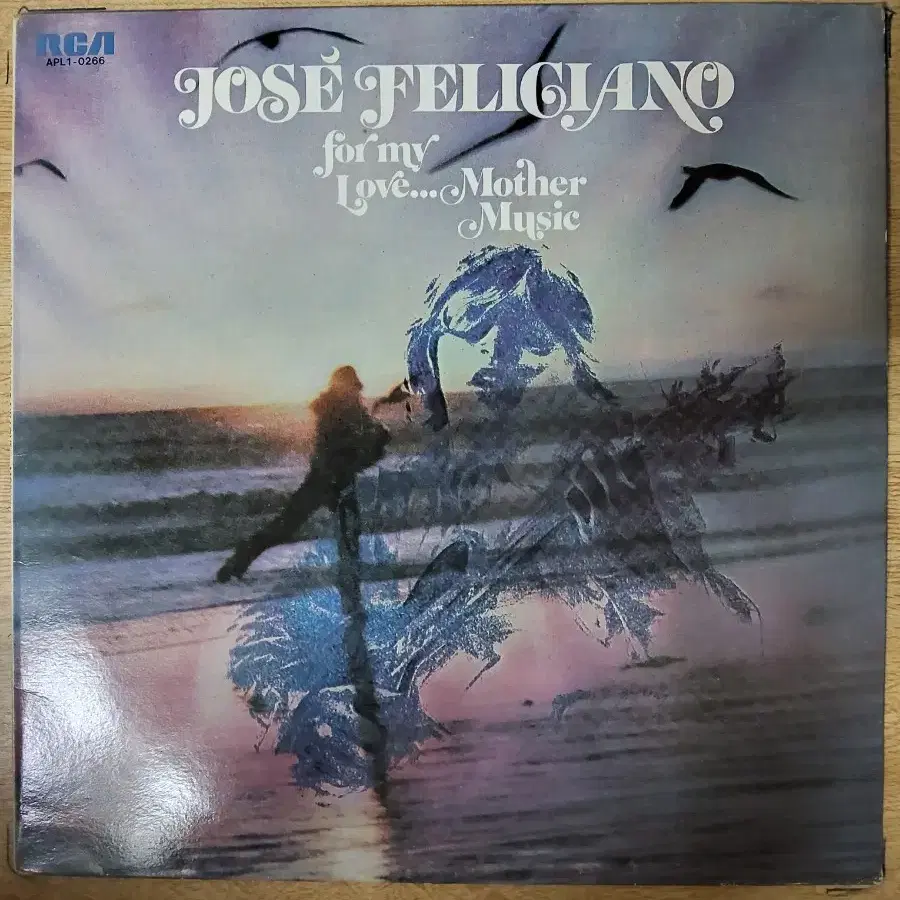 JOSE FELICIANO 음반 f (LP 턴테이블 오디오 앰프