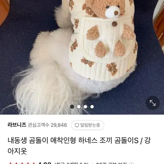 강아지 옷 곰돌이 하네스 조끼 새상품 XL