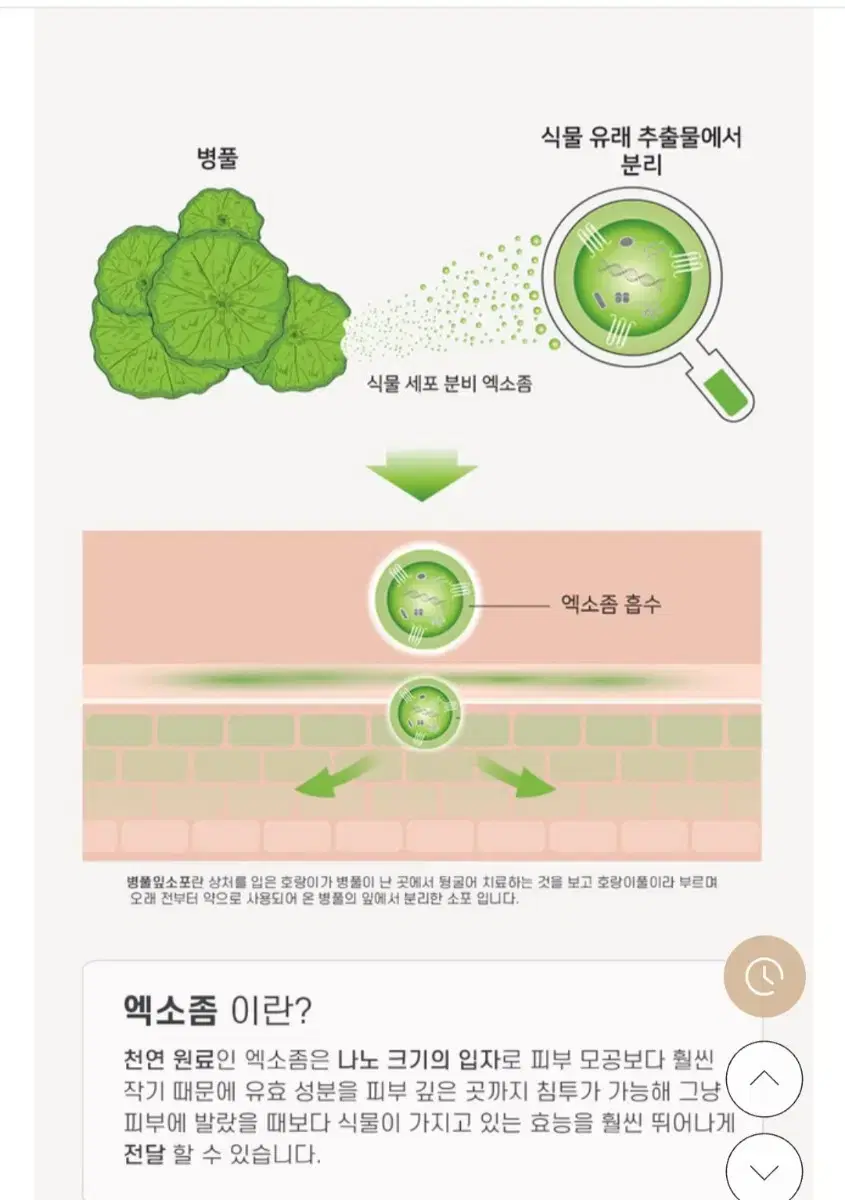 피부과전용 유쏘랩 모이스처라이징 히알루론 마스크팩