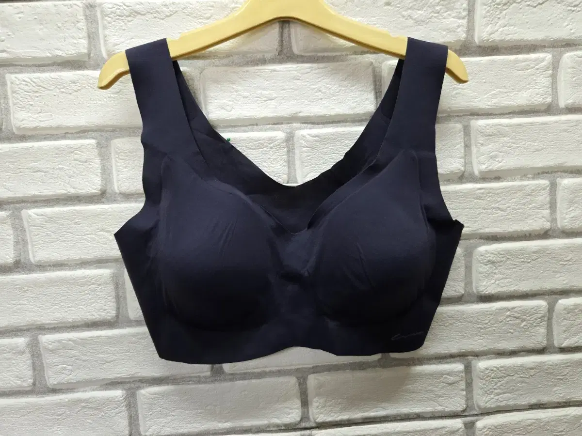 Sports Bra 100