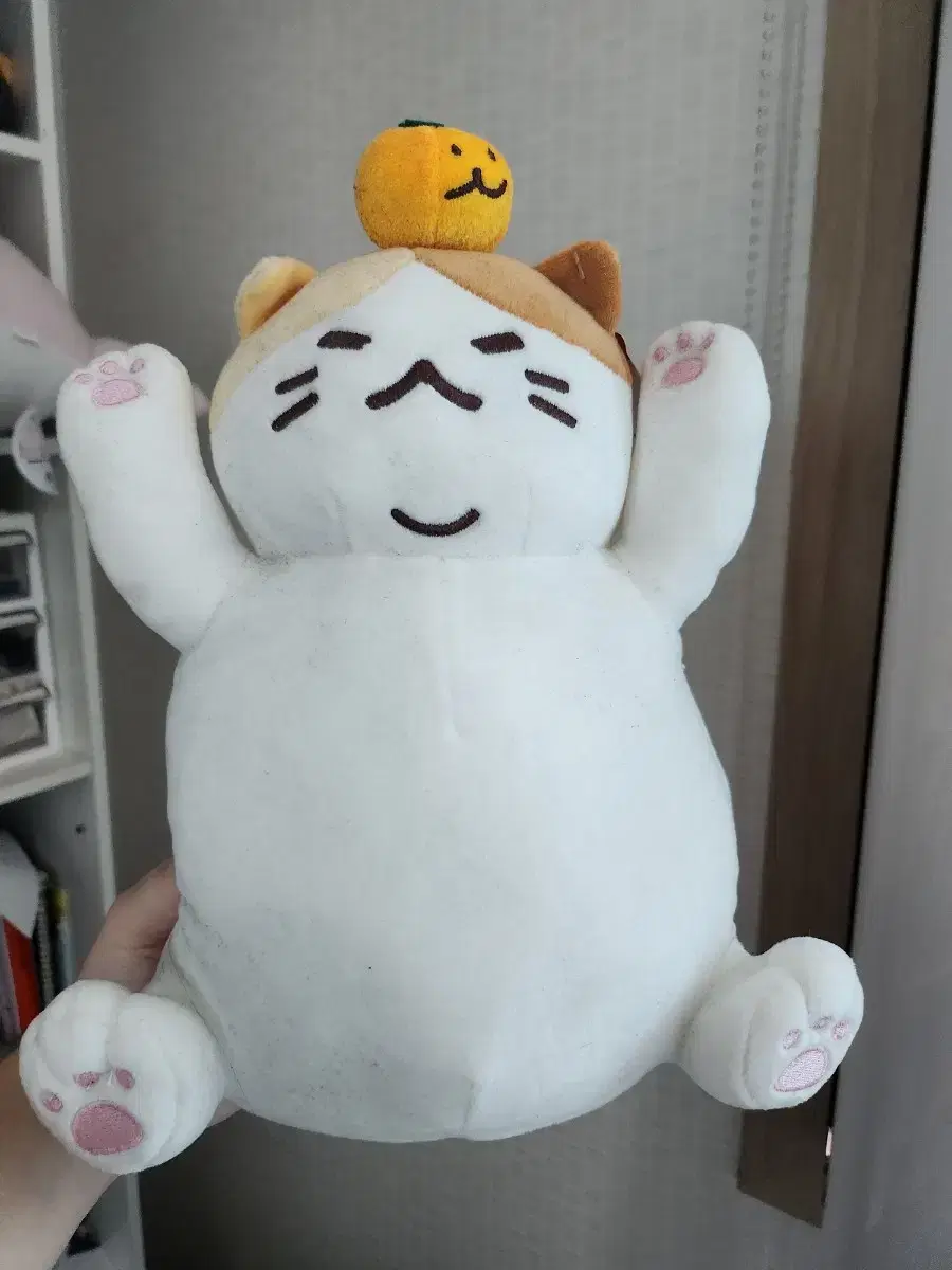 제주냥이 인형 판매합니다