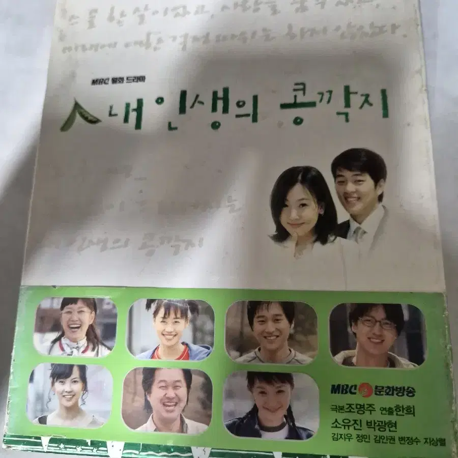 (dvd)내인생의 콩깍지