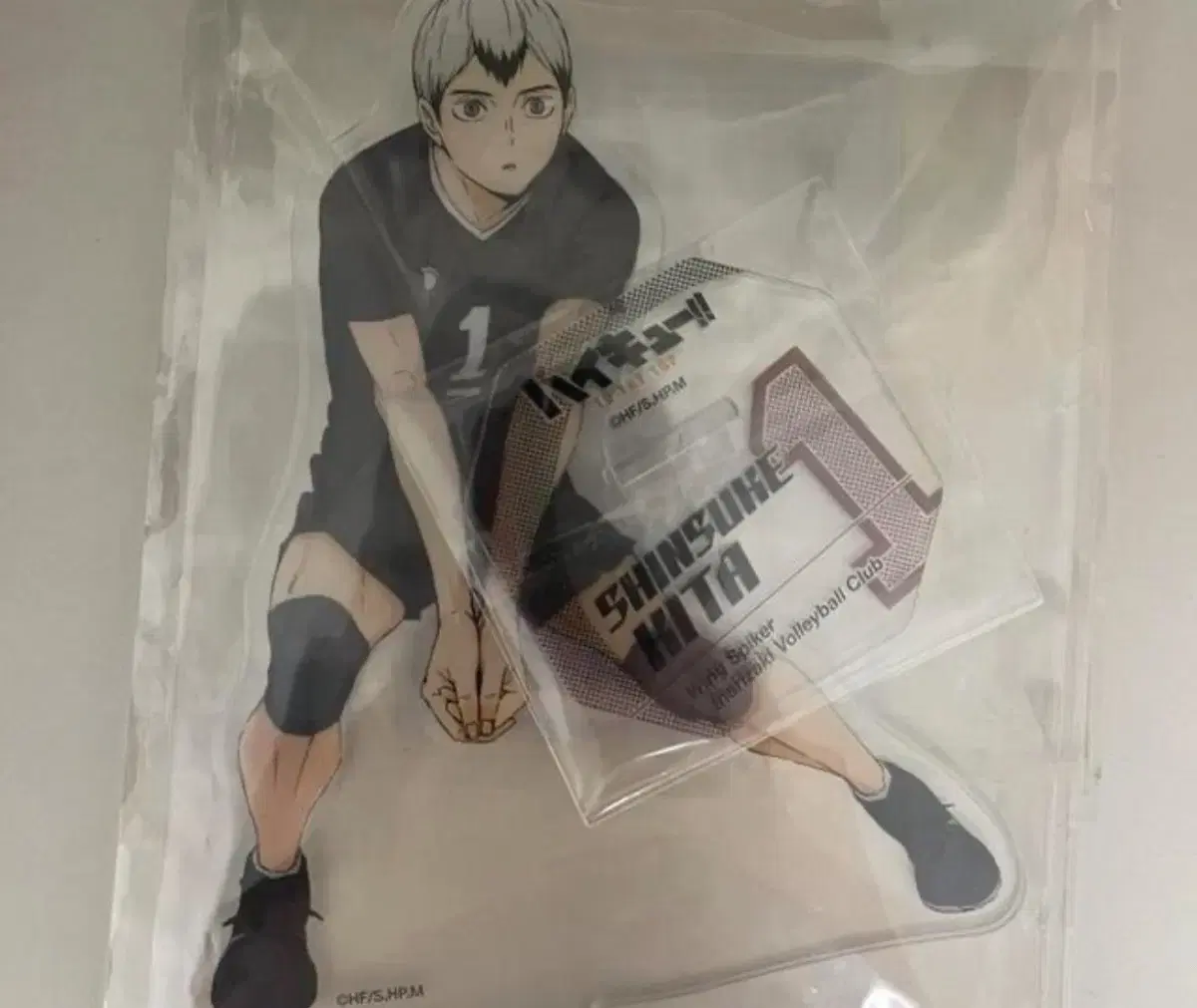 Genuine haikyuu Kita Shinsuke Ensukai Big acrylic Stand