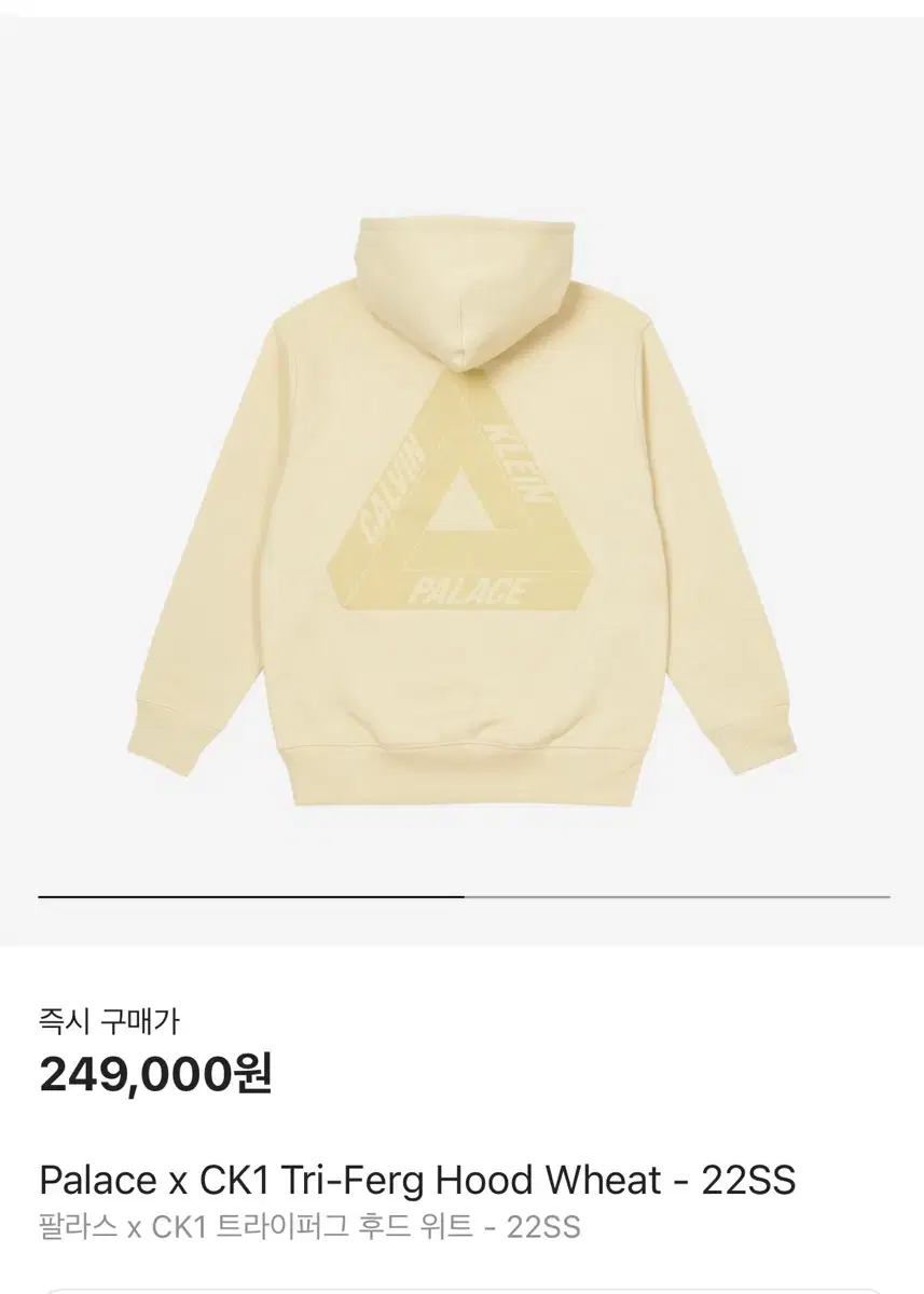 Pallas x CK1 Triangle Hoodie