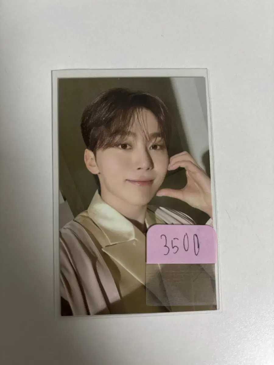 Seventeen seungkwan 고양콘 Hoodie Zip-up md photocard Photocard WTS