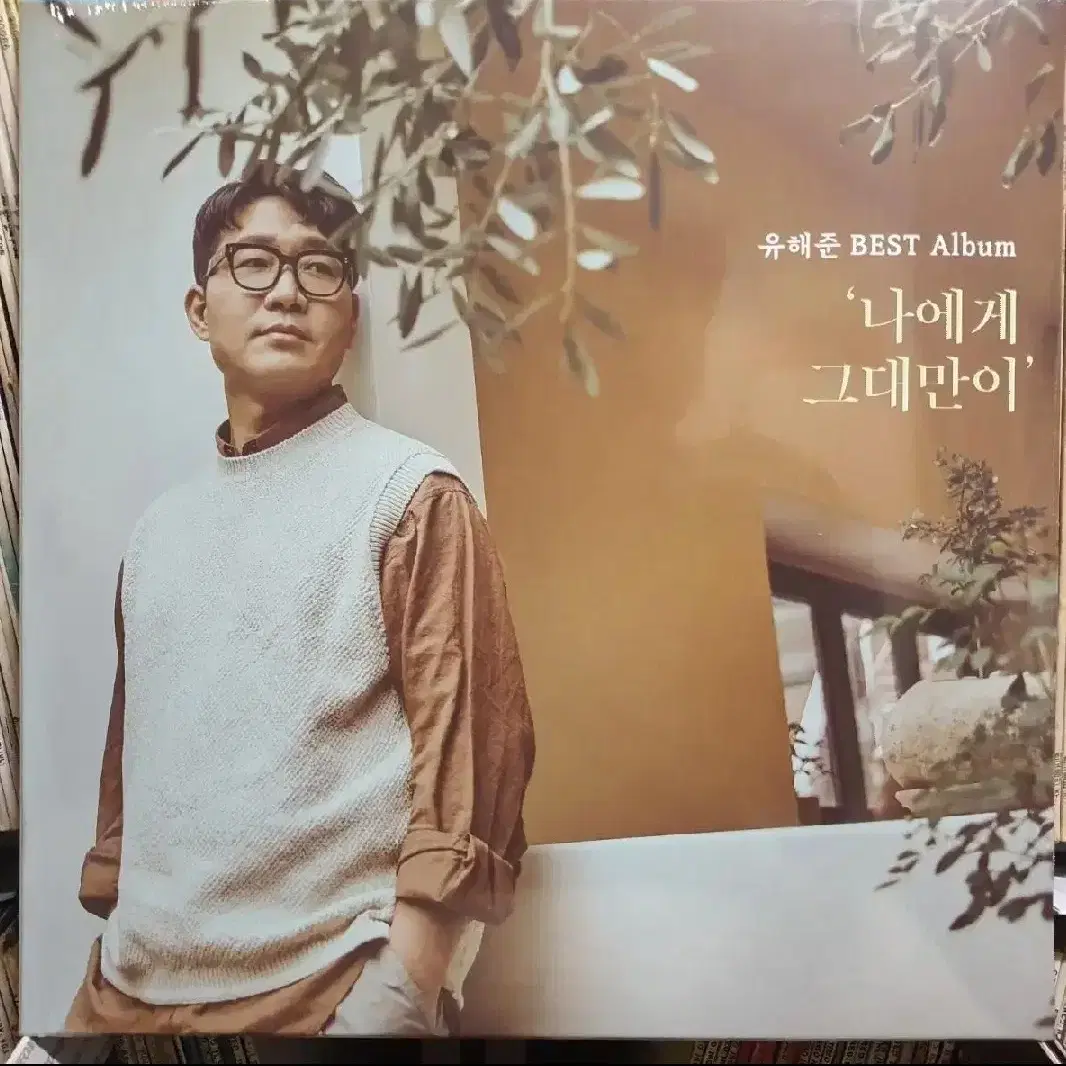 유해준 미개봉 LP