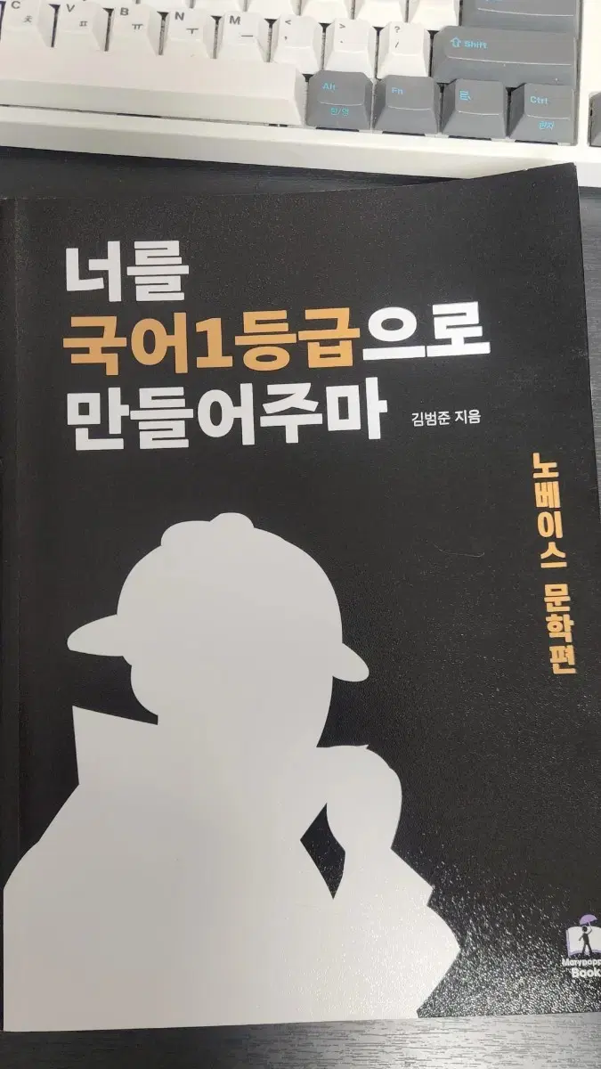 너를 국어1등급으로 만들어주마 노베이스 문학편