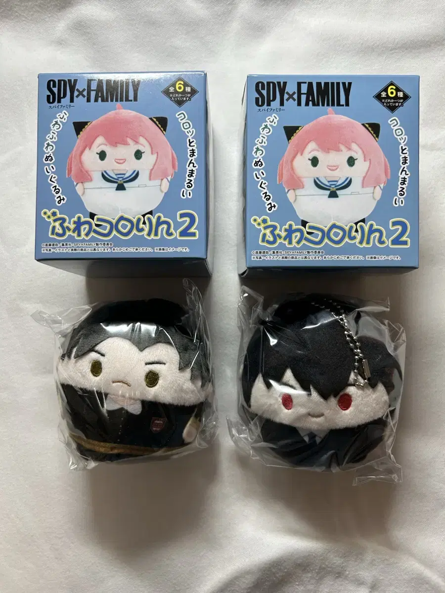 SPY FAMILY Fuwakororing 2nd Edition bulk Sells