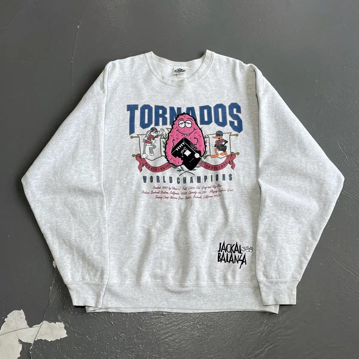 1990s Made In USA  Warner Bros Sweat