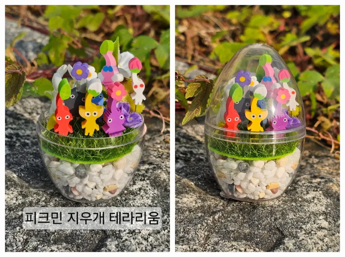 (In-kind) Pikmin Eraser Bottle keyring +Terarium