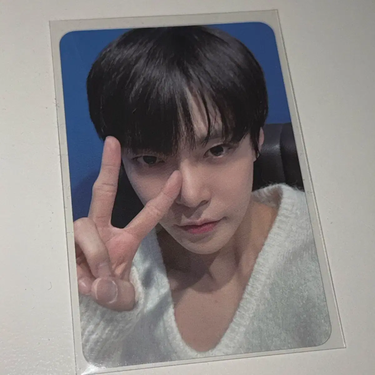 Bidelfomi doyoung WTS