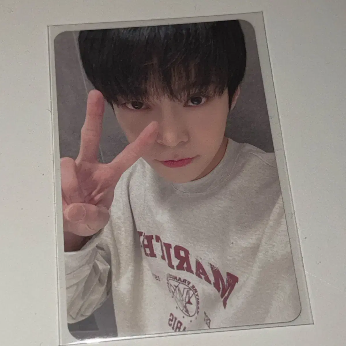 Bidelfomi doyoung WTS