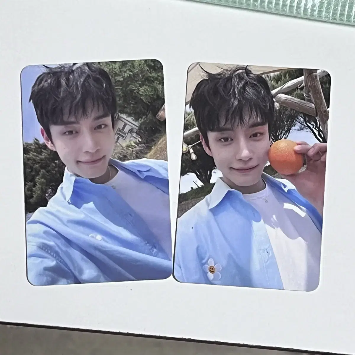 Bulk] zerobaseone kim jiwoong Fan club kit photocard