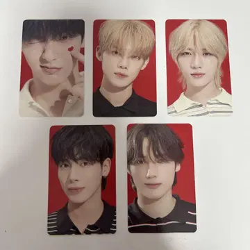 TXT SANCTUARY 트레이딩 카드 유니버셜 한정판