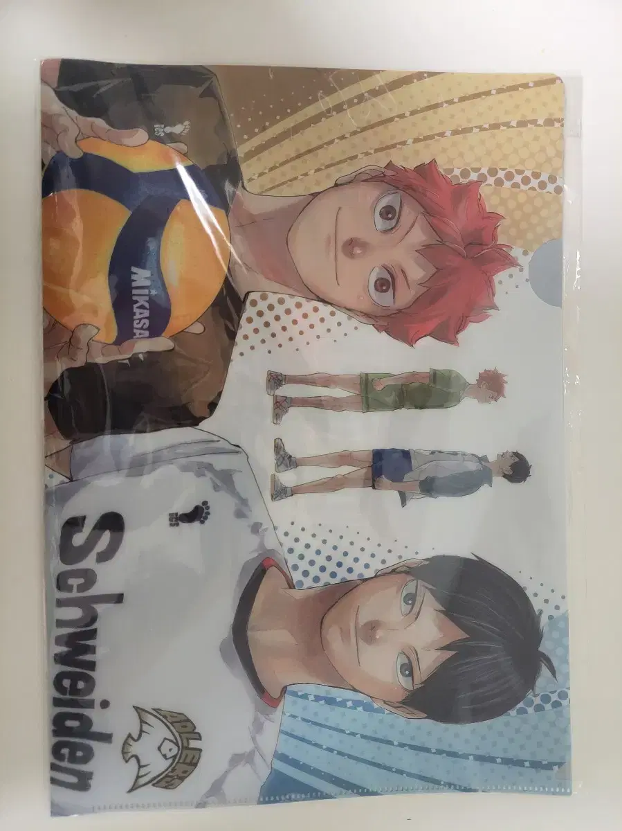 Haikyuu Kageyama hinata File