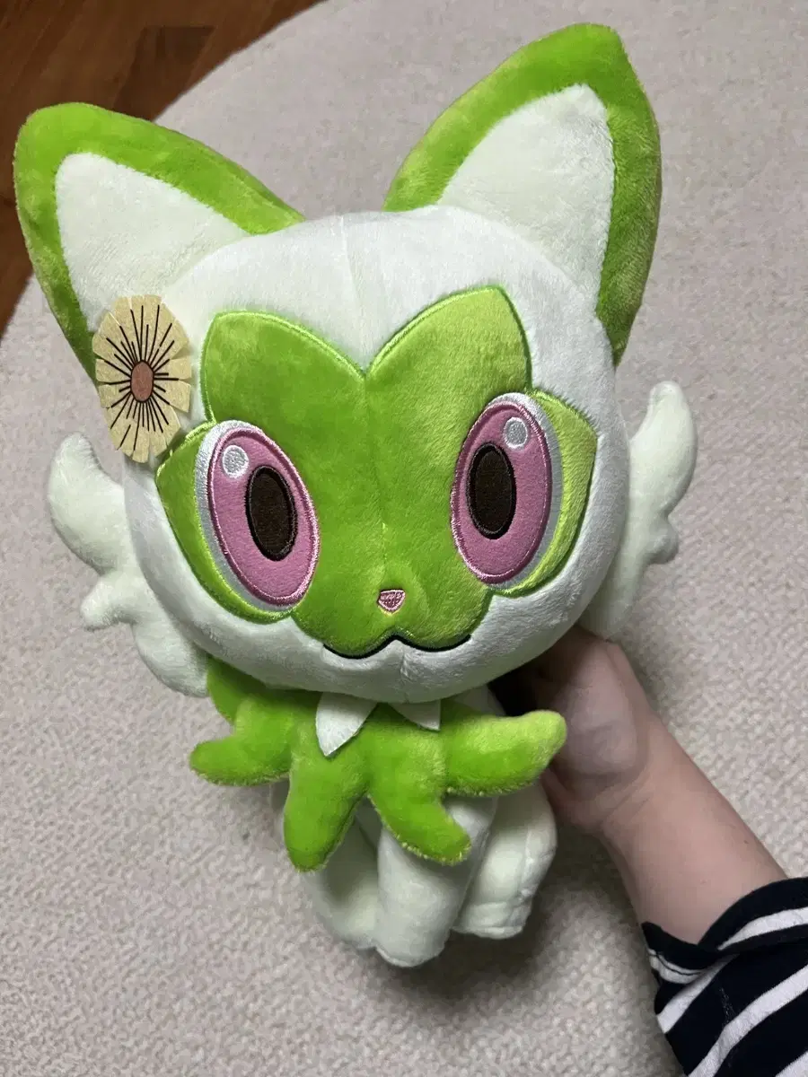 Naoha Blooming Days doll Pokemon Naoha Dolls