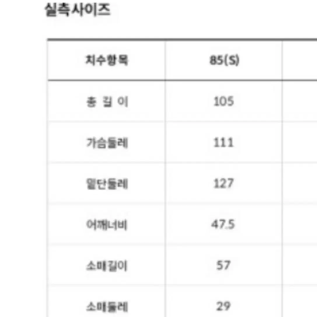 노스페이스 롱 구스다운