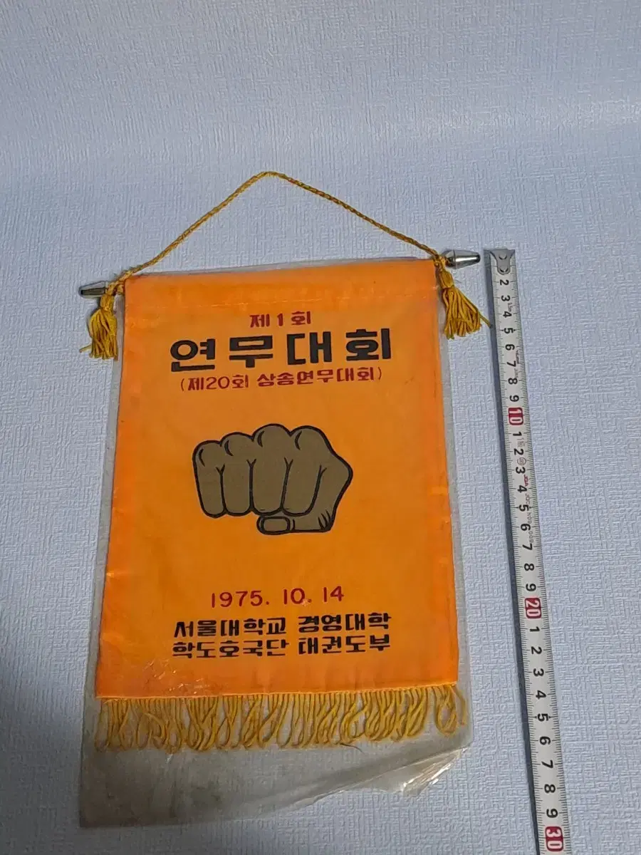 근대사 [서울대학교] 연무대회 팬넌트/미사용