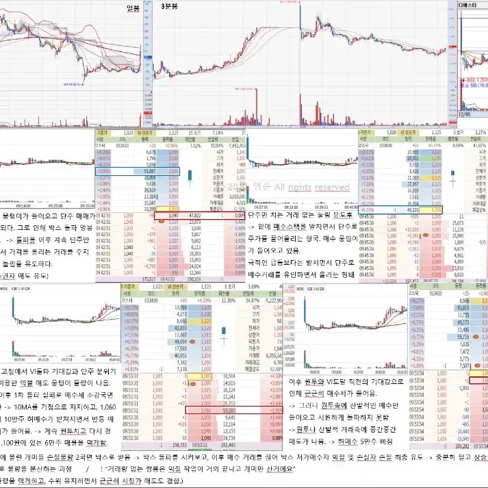 세력의 개인적인 생각