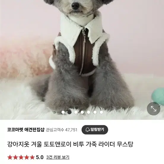 토토앤로이 강아지 무스탕 라지