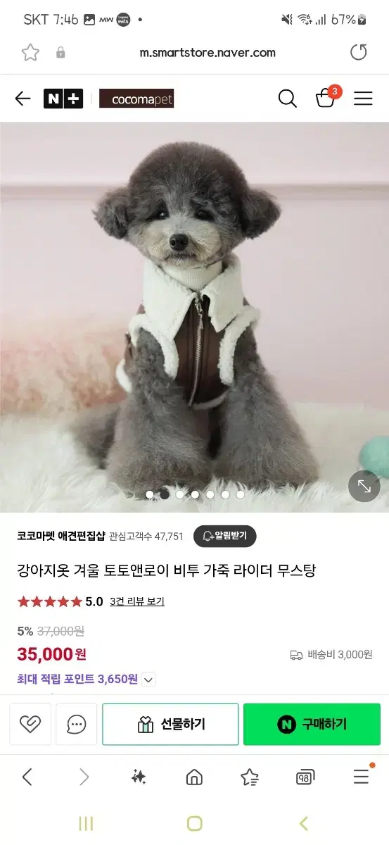 토토앤로이 강아지 무스탕 라지