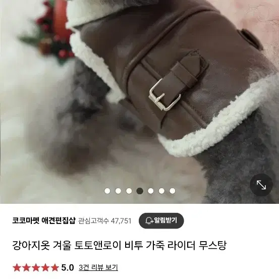 토토앤로이 강아지 무스탕 라지