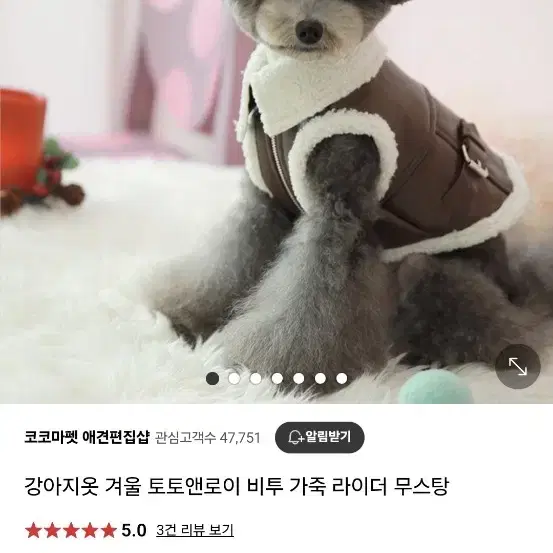 토토앤로이 강아지 무스탕 라지