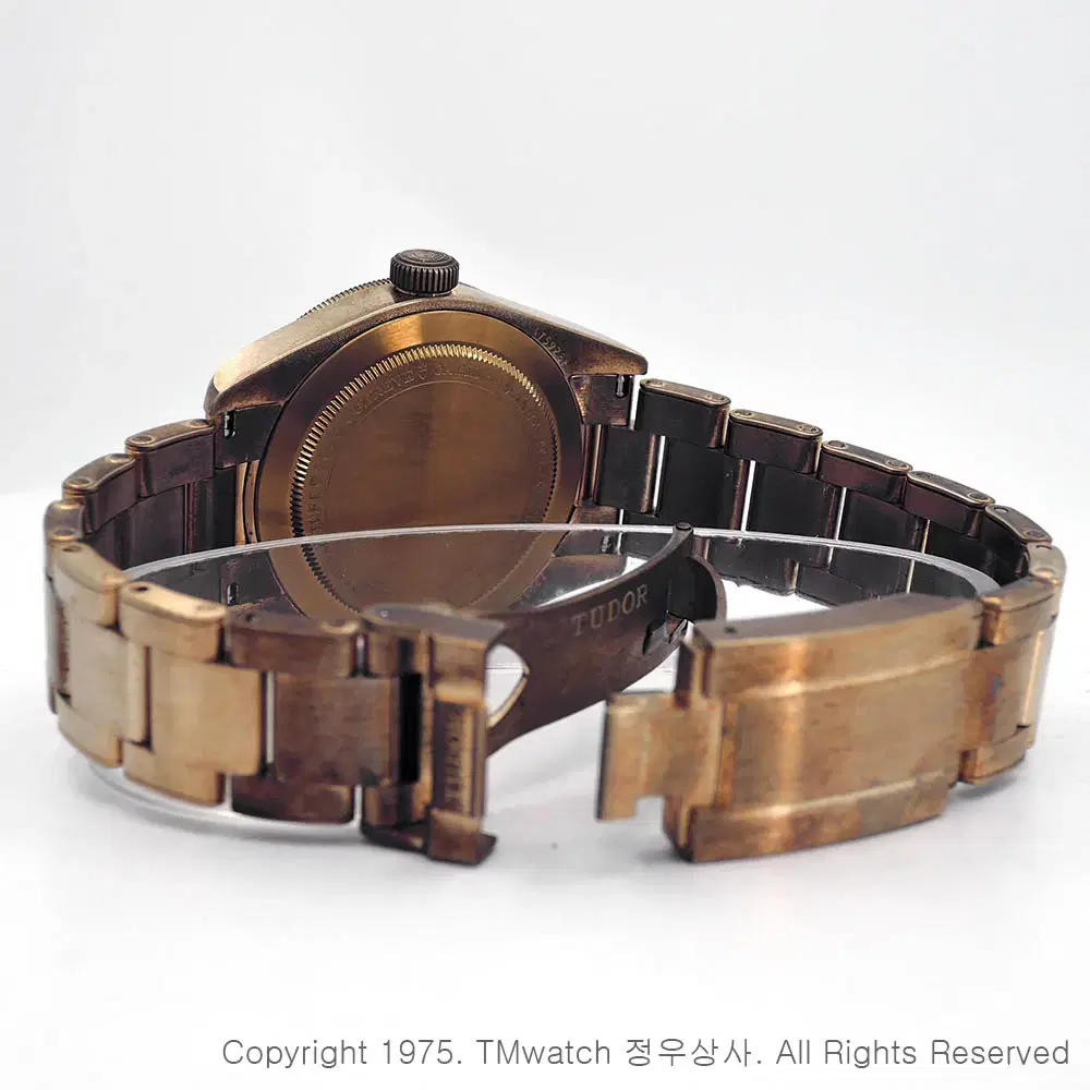 튜더 블랙베이 58 브론즈 39mm 79012M