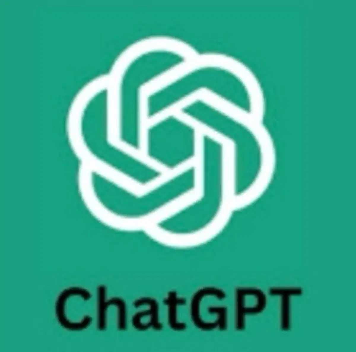 Chat gpt 챗지피티유료버전 한달권