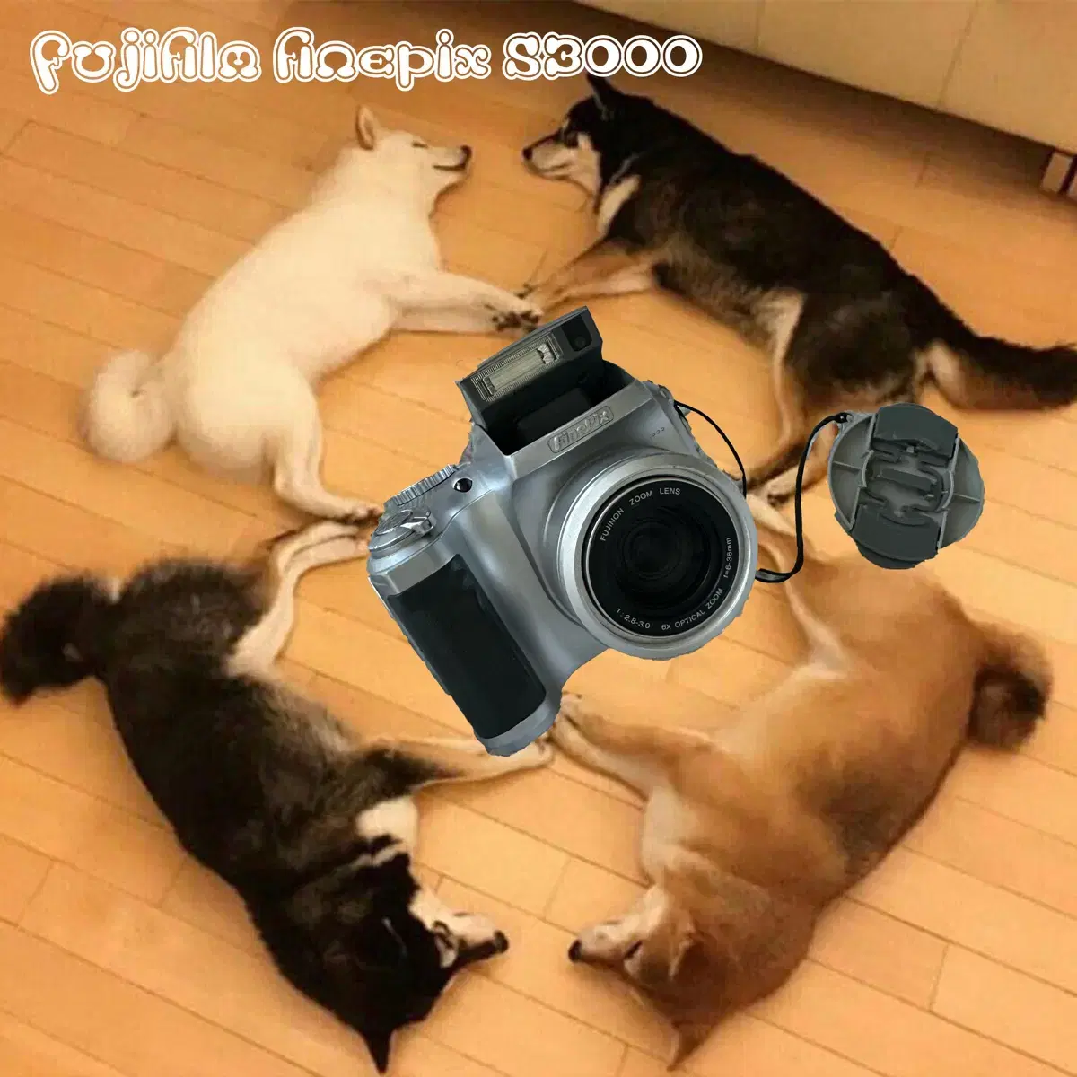 Fujifilm finepix s3000 빈티지 디카