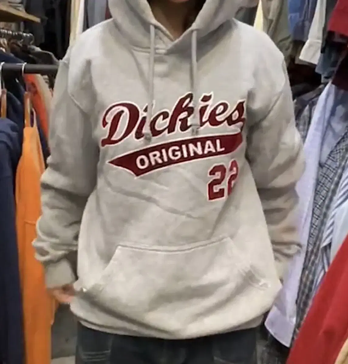 Dickies Big Logs Hoodie sells