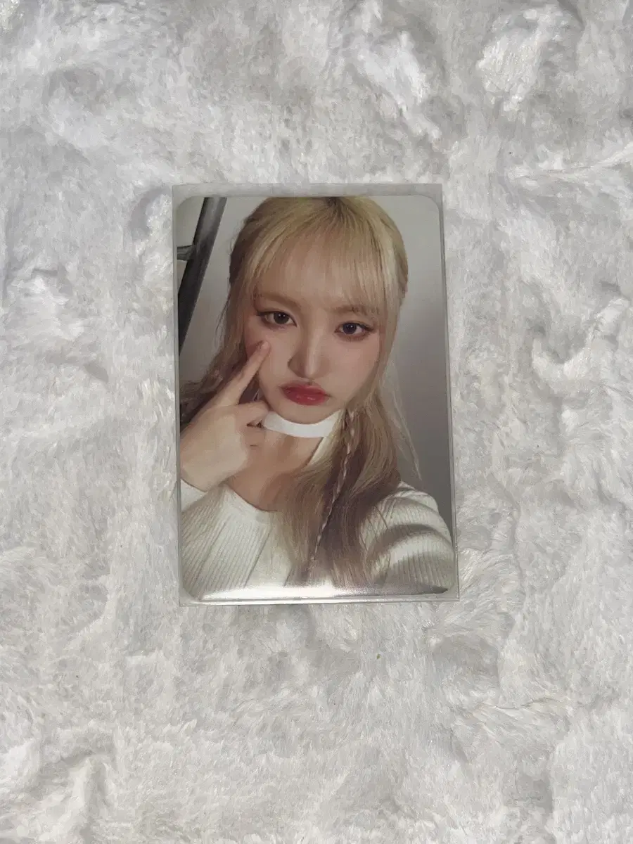 ive liz fanmeeting md photokit photocard wts