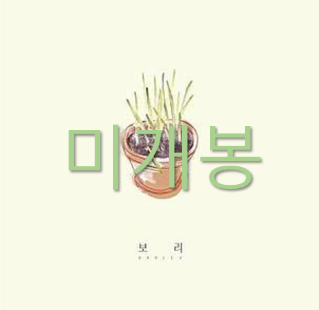 [미개봉] 전기뱀장어 - 보리 (CD)