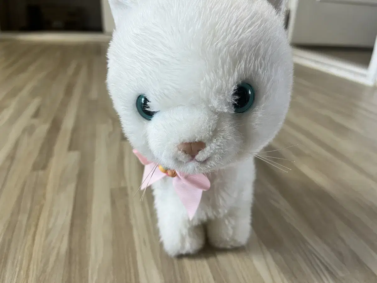 움직이며 노래나오는 고양이 인형