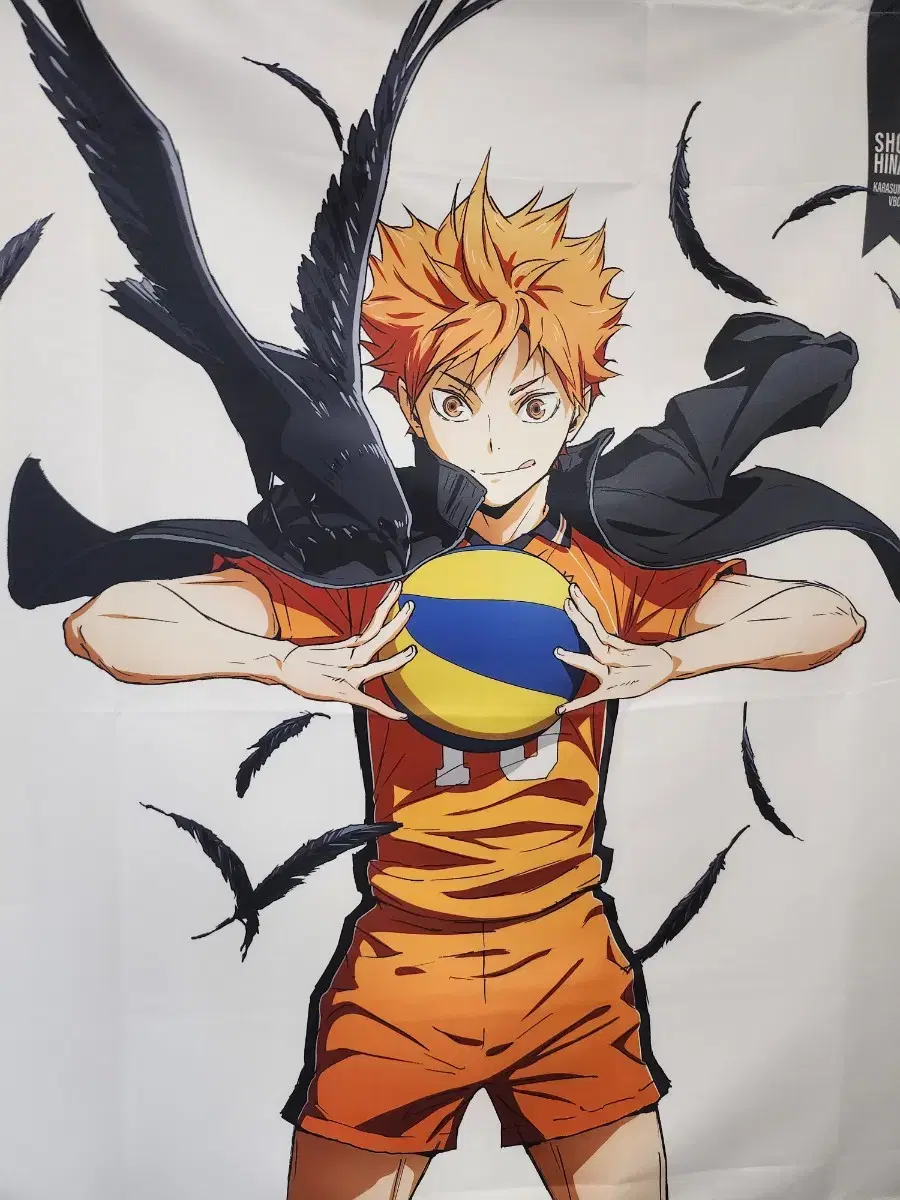 Feeding)Haikyuu hinata Shoyo 100cm tapestry Karasuno hanging stick sells