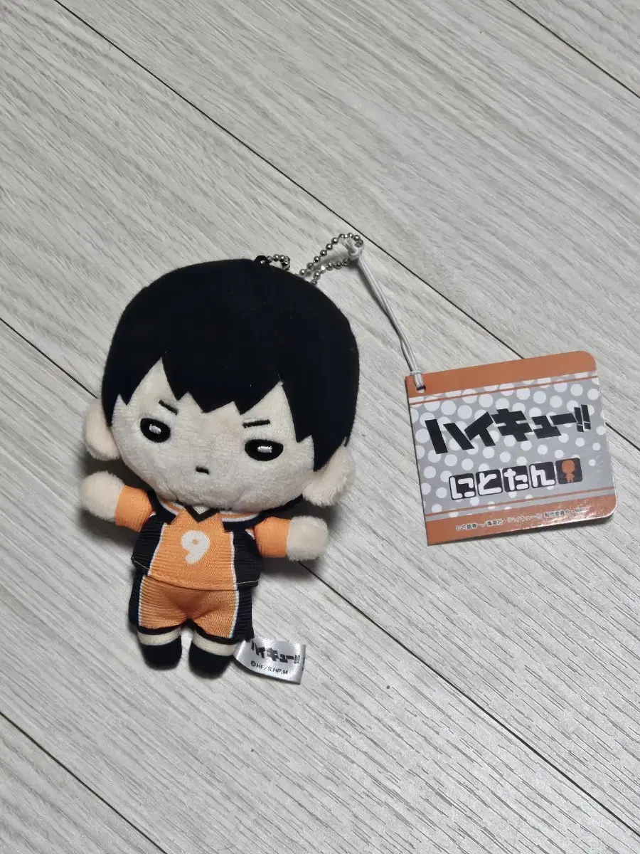 Nitotan Nui Kageyama