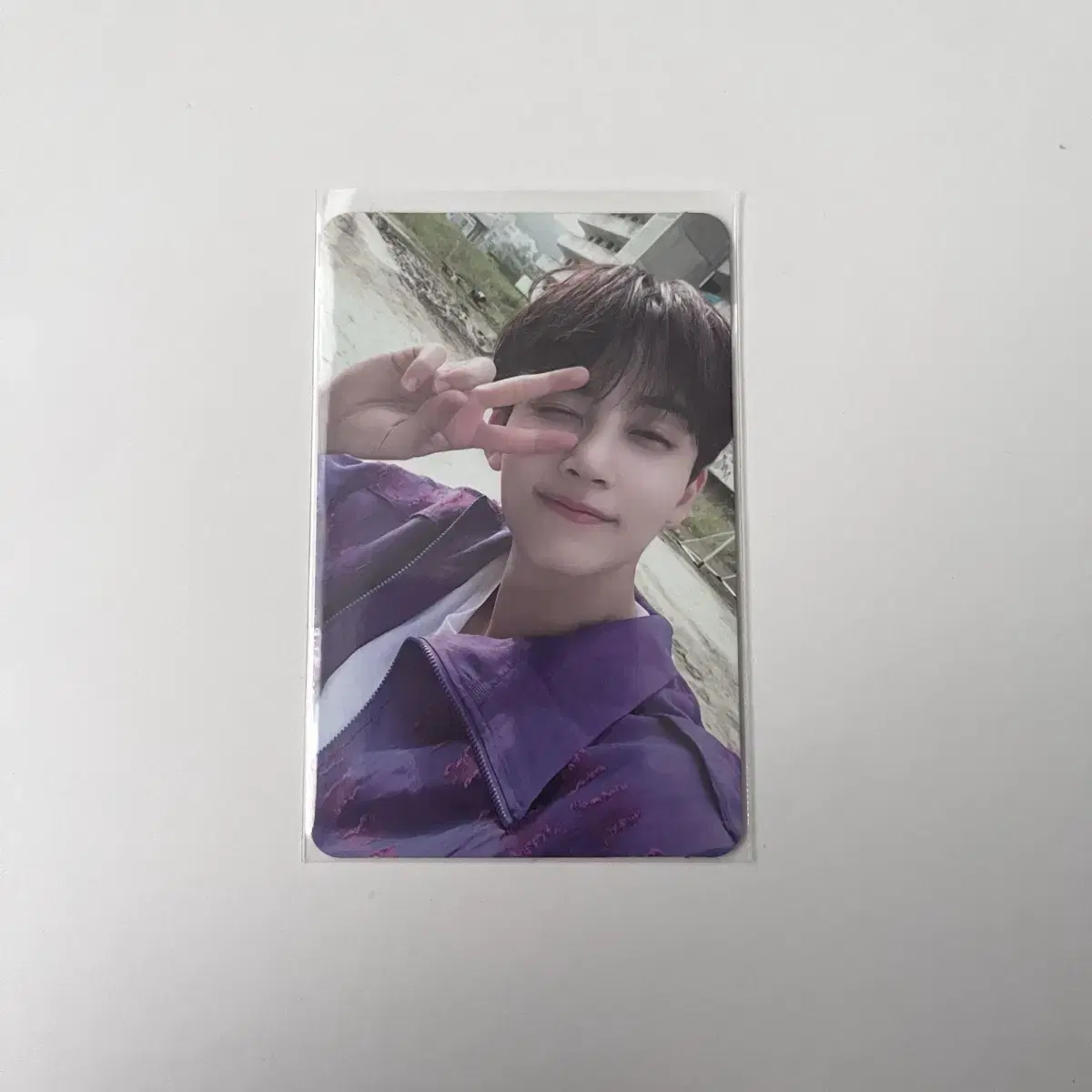 Price drop))) seventeen jeonghan rinse dynasty photocard wts