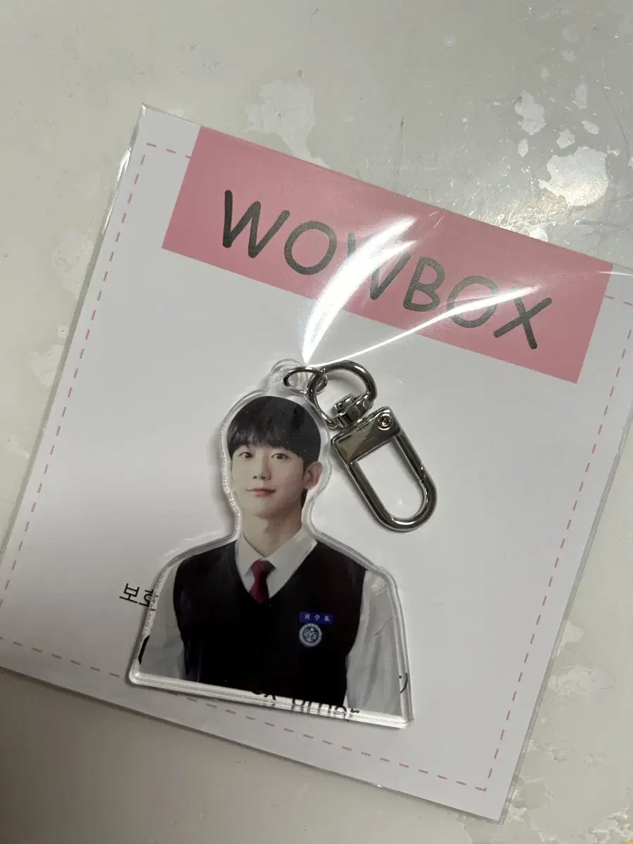 Jung haein keyring Seunghyo Choi