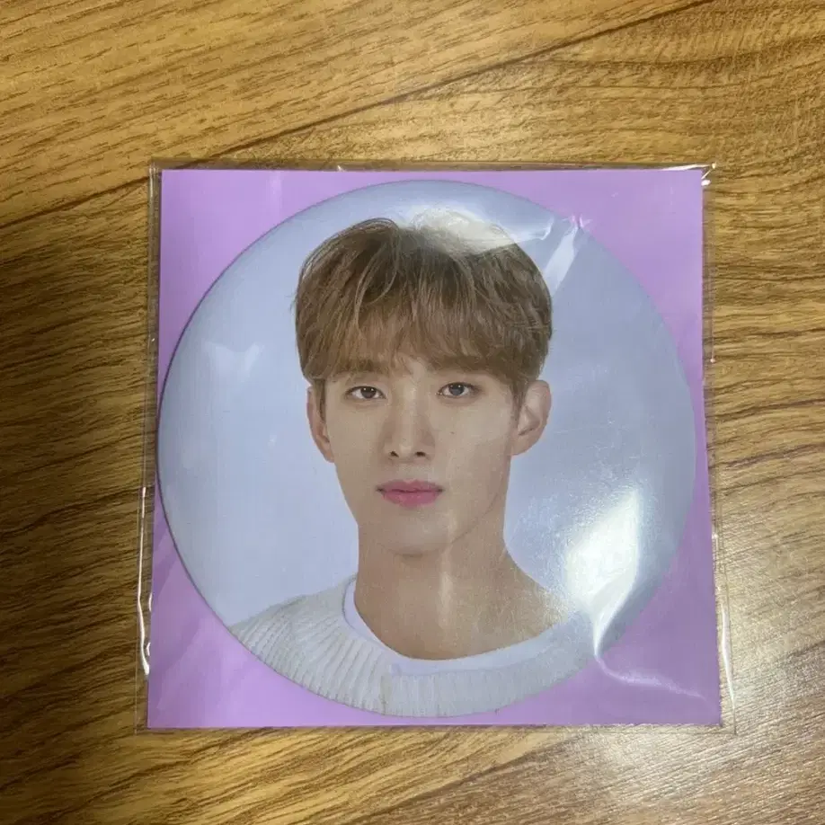 2020 SVT 4TH FAN MEETING 빅 핀버튼_도겸